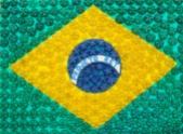 Bandeira criada pelos integrantes do Projeto e pelo Grupo Trocando Saberes, sob a orientação de Valdick carvalho e Deni Féo